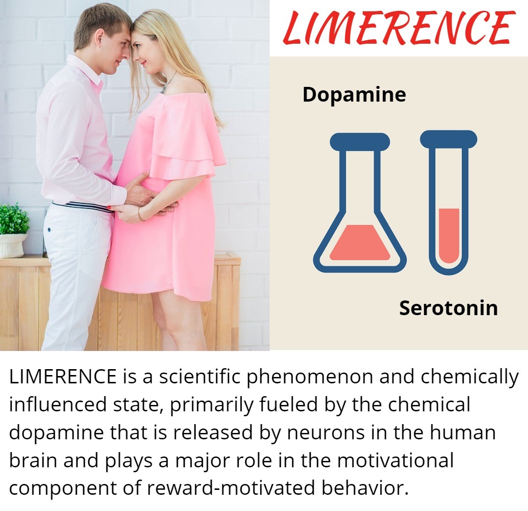 What is Limerence? How To Get My Ex Back Fast My Ex