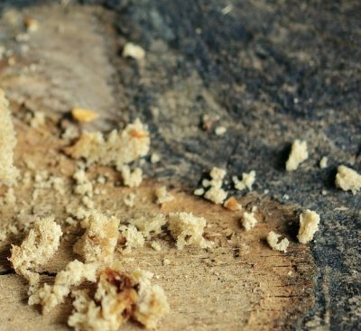 What is breadcrumbing?