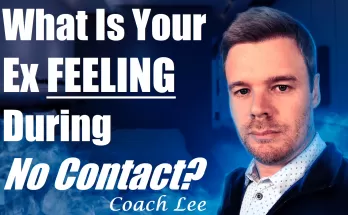 What is my ex feeling during no contact?