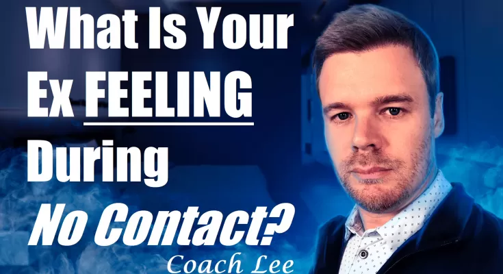What is my ex feeling during no contact?
